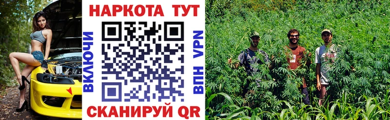 Купить наркотики цена Аргун Кокаин МАРИХУАНА APVP ГАШ Меф