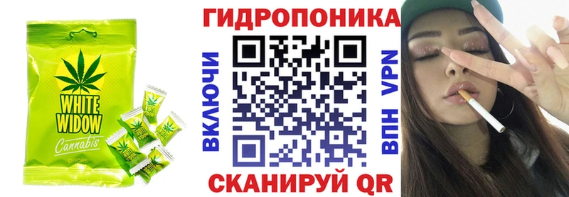 Cannafood конопля  Аргун 