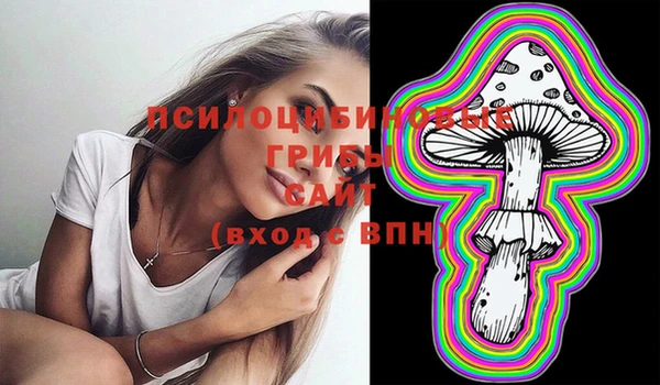 МДПВ Нефтекумск