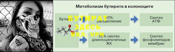 дмт Гусев