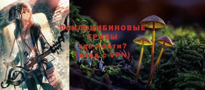 Псилоцибиновые грибы MAGIC MUSHROOMS  Аргун 